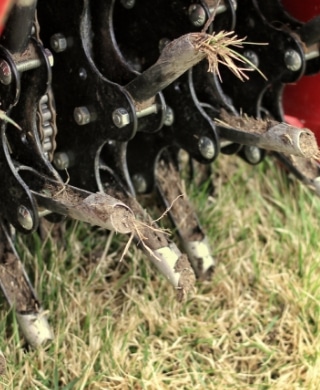 A lawn in the process of being aerated with machines. 