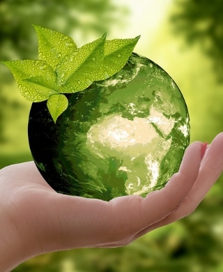A photomanipulation of a hand holding a globe of plants.
