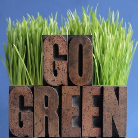 A sign reading, "Go Green" placed in front of grass. 