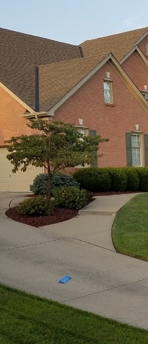 A home with multiple flower beds containing trees and shrubs. All are neatly pruned with fresh mulch. 