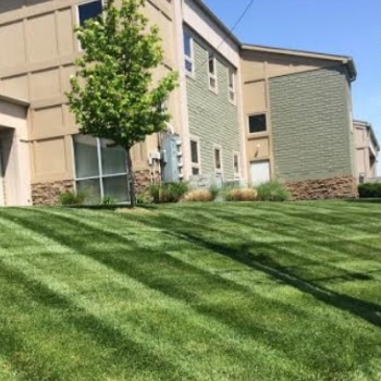 A home with a freshly serviced lawn. The grass has been treated and shows striping from mowing. 