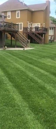 A home with healthy green grass after being fertilized. 