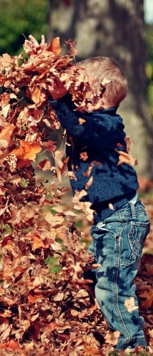 A young boy plays in a pile of leaves. 