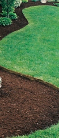 Turf Edging Service