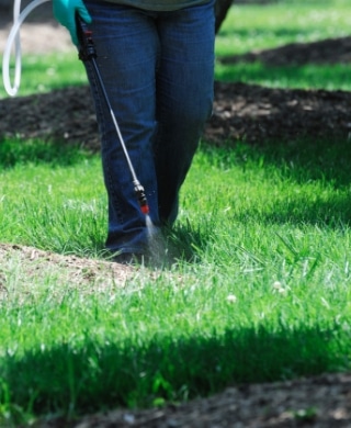 An employee using weed control techniques to keep a mulch bed weed free.  